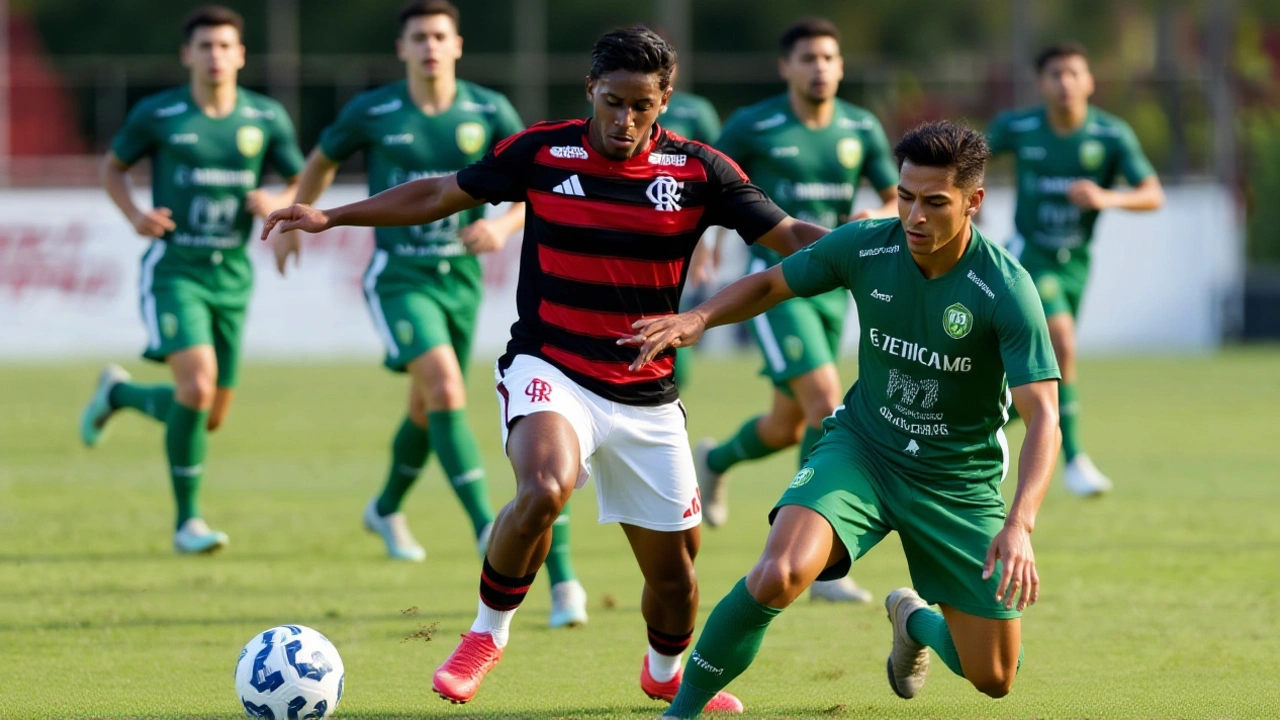 As estatísticas que não mentem